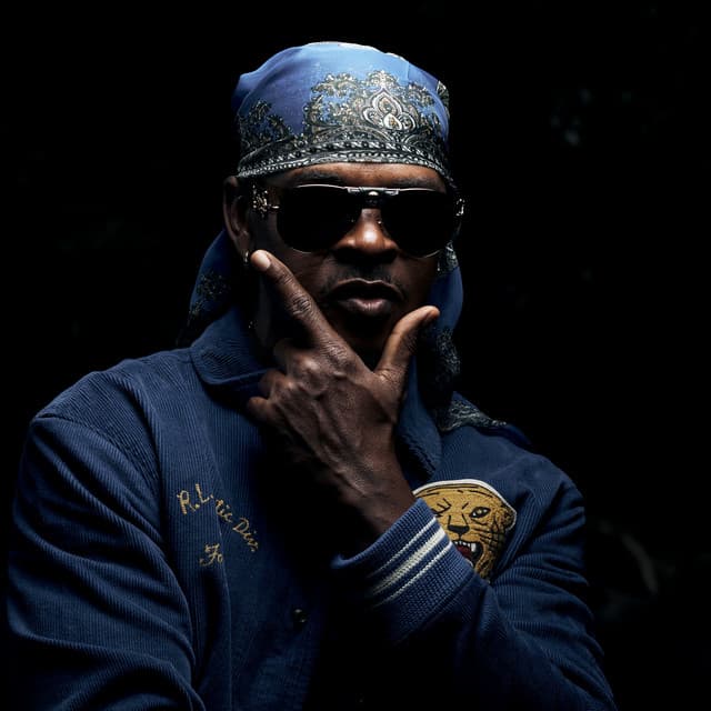 Mr. Vegas artist photo
